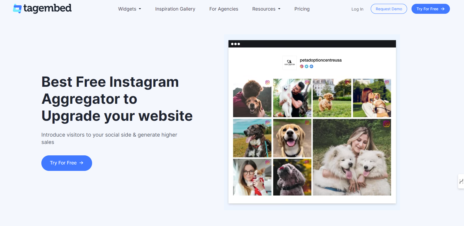 Tagembed Instagram Aggregator